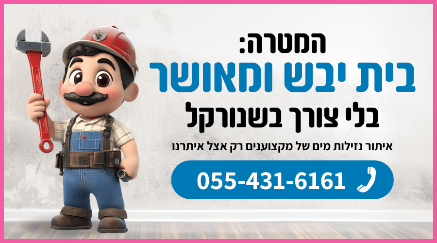 משפט איתור נזילות #7