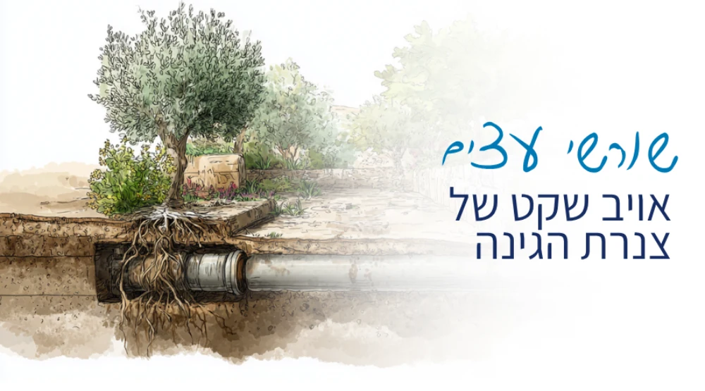 איתור נזילות מים בגינה שורשי עצים