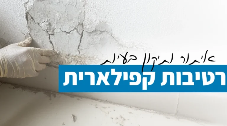 איתור ותיקון רטיבות קפילארית (3)