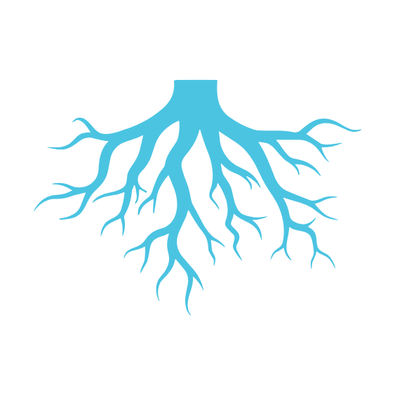 כרסום שורשים