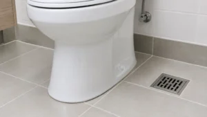 חדר שירותים נקי במבט אל בסיס האסלה ומחסום הרצפה, הנקודות שמהן עולה ריח ביוב